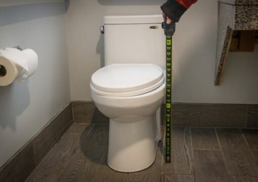 King Accessible NS Pet-Friendly