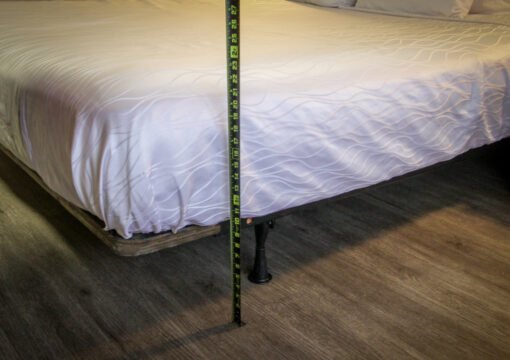 King Accessible NS Pet-Friendly