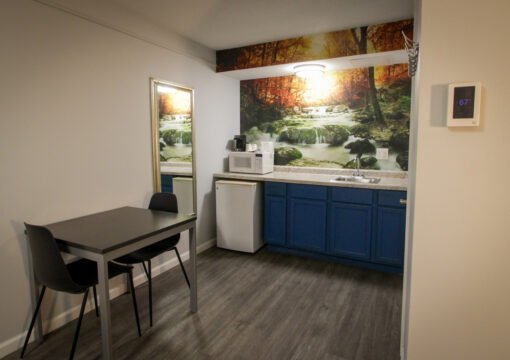King Bed Smoking, Pet-Friendly