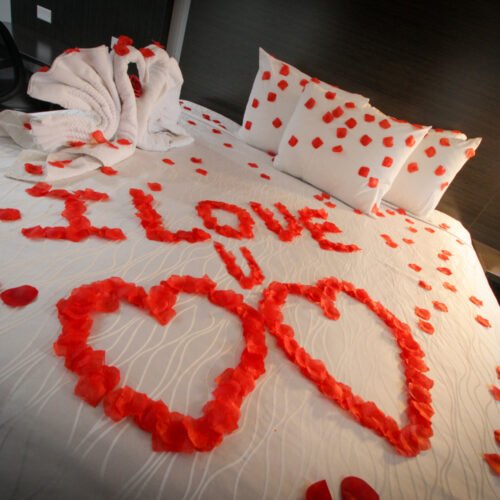 Romantic Suite NS King No Pet