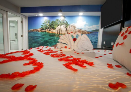 Romantic Suite NS King No Pet