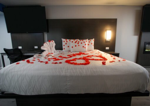 Luxury Suite Non Smoking King Bed No Pet