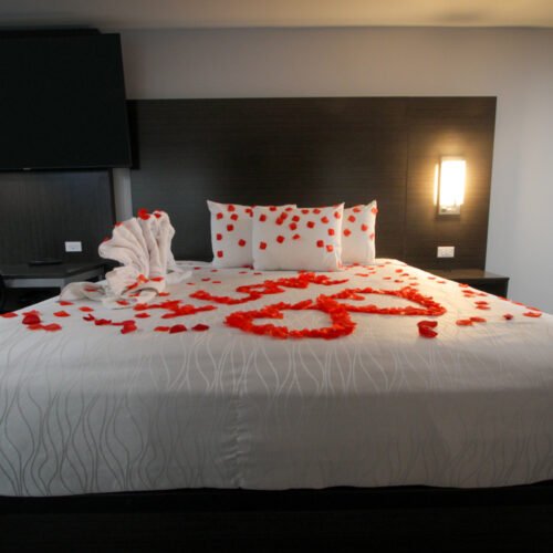 Romantic Suite NS King No Pet