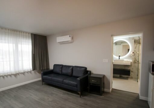 Luxury Suite Non Smoking King Bed No Pet